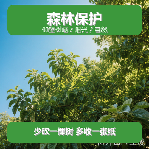 隆隆旧货回收站